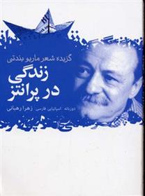 زندگی در پرانتز