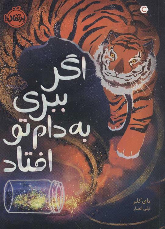 اگر ببری به دام تو افتاد