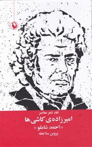 امیرزاده ی کاشی ها