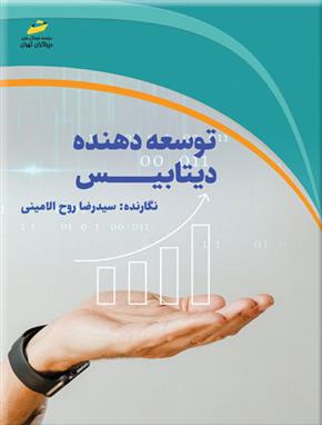 توسعه دهنده دیتابیس