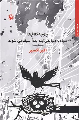 جوجه کلاغ ها