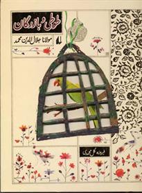 طوطی و بازرگان