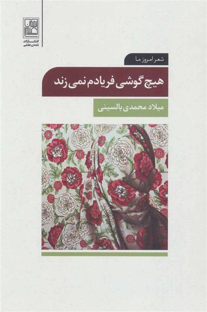 هیچ گوشی فریادم نمی زند