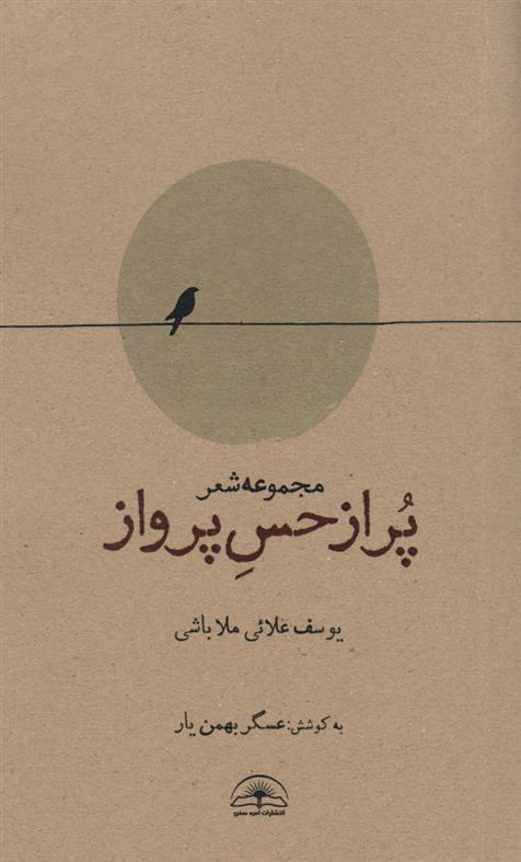 پر از حس پرواز