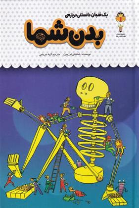 یک فنجان دانستنی درباره ی بدن شما
