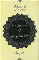 شطری‏ از اوایل‏ امور عامه