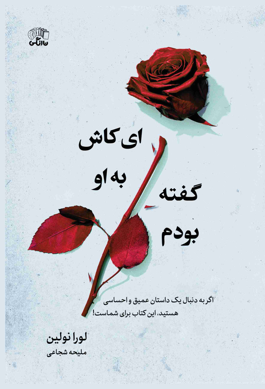کتاب ای کاش به او گفته بودم