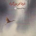 کتاب درنا دربزرگراه